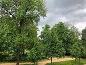 Gemütliche zentrale Wohnung in Zwickau