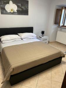 Suite Morruzze