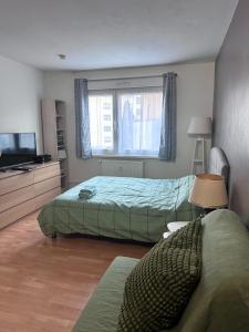 Appartements Beau studio proche Strasbourg : photos des chambres