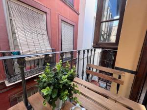 Homely Málaga Pozos Dulces 8