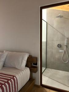 Guest House Si nshpi tande - Mrizi i Zanave