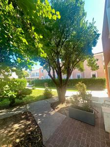 Hotels Hotel Thalassa : photos des chambres