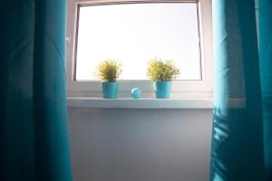 Old town flat at Podwale street