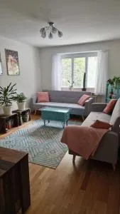 Nice cozy apartment in the heart of Basel - Riehen