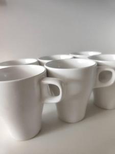 Oak Apartment at The Rochester Bridgeview Tower