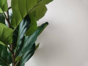 Oak Apartment at The Rochester Bridgeview Tower