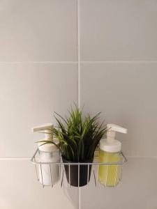 Oak Apartment at The Rochester Bridgeview Tower