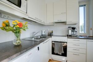 Aurora Fox Suviheinä