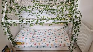 Appartements Le Grand Bourgeois : photos des chambres