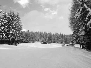 Appartements Chalet Champagne et Montagne C201 : photos des chambres