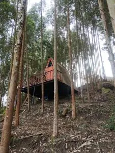 Glamping Entrepinos - La Mesa