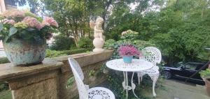 Altbauwohnung in Blasewitz am Waldpark