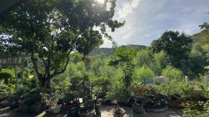 Kiens House - Cam Lap Cam Ranh