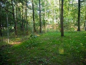 Ranczo w Dolinie Biskupice