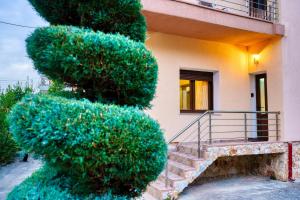 Four lakes luxury suites