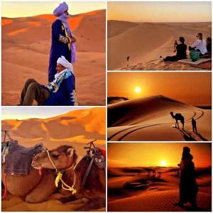 desert camp sahara luxury