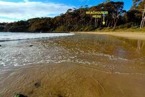 Beachgum - Sunshine Bay