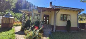 Vila Telec - Bicazu Ardelean