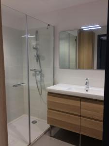 Spacieux appartement terrasse climatisation