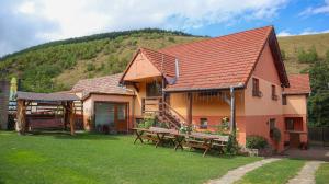 Marginimea Sibiului - Pensiunea Darian & David