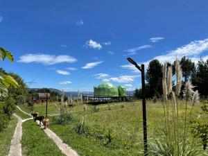 Glamping Terranova Guatavita Colombia