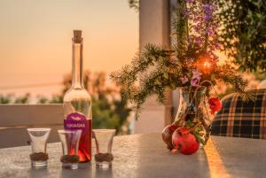 VILLA LEO - private pool - seaview - pets welcome - luxury villa on 1000 m2