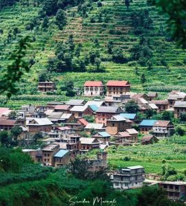 bed and breakfast, also lunch and dinner if required