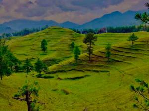 bed and breakfast, also lunch and dinner if required