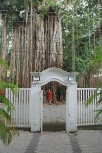 Banyan Tree Homestay