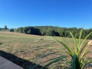 Maisons de vacances Logement en Perigord : photos des chambres