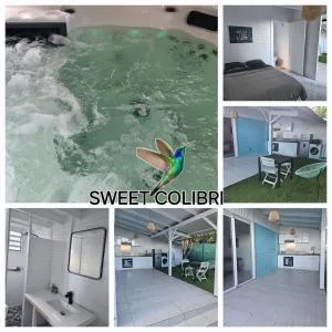 Sweet Colibri - Le Prêcheur