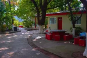 Olas del mar - San Diego