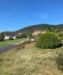 Les deux maisons - Little Green - Maison cosy proche pistes et lac