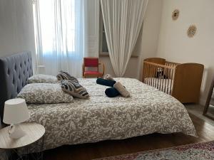 Appartements La Villa Louana charme de l'ancien en coeur de ville : photos des chambres