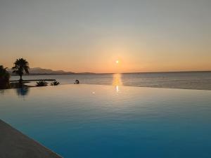 Appartements Pearl Beach - Rooftop Pool Seaside : photos des chambres
