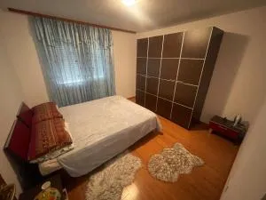 Apartament Alex - 莫伊塞