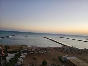 Das Nistkästchen in Hurghada