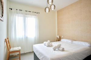 Work & Pet friendly Urban Home next to the Beach