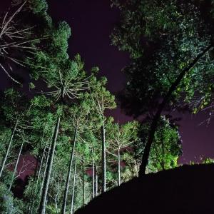 Sopro da Serra Chalés