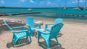 Pura Vida - Courcelles