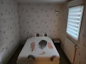 RESIDENCE ALPES - Charvonnex