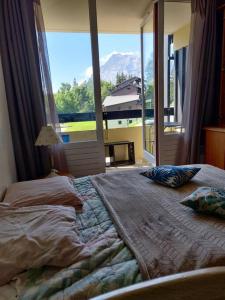 Appartements studio plein SUD ete comme hiver : photos des chambres