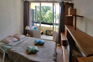 Appartements studio plein SUD ete comme hiver : photos des chambres