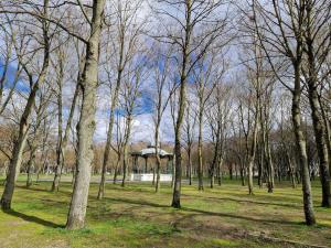 Votre cocon avec baignoire et Wifi à 15 min à pied du centre dAmiens