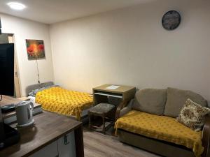 Nowoczesne Studio z ogrodem i parkingiem