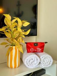 (308) Studio Âncora | Seu Refugio na Holandeses