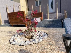 Can FRANCES - Parking-Garage-2 jardins-Terrasse-BRASERO-MER-Wifi