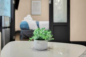 Stunning Apt in The Heart of New York City GYM