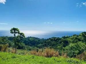 Villa Créole vue exceptionnelle Perle des Hauteurs - Quartier Piton