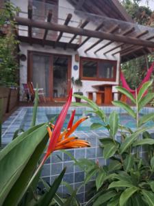 Casinha Mandala 2 - Taipu de Fora